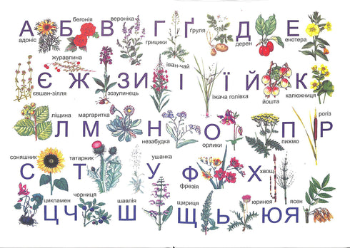 Primer. Libro di testo per la prima elementare